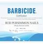 Red Persimmon Nail Salon from redpersimmonspa.com
