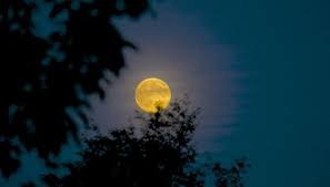 8,328 likes · 534 talking about this. Full Moon October 2020 When Is Full Moon In October Know Details