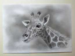 Apprenez comment dessiner une girafe facilement grâce à ce tutoriel complet étape par étape qui décompose chaque partie du corps de l'animal pour un résultat fidèle et réaliste. Dessin Girafe Galerie Creation