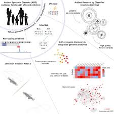 Inherited And De Novo Genetic Risk For Autism Impacts Shared