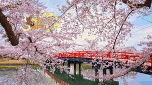 Check spelling or type a new query. Best Japan Lofi Gifs Gfycat