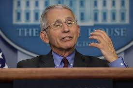 Anthony fauci, director of the national institute of allergy and infectious diseases, said on wednesday that that estimate is dependent on . It Is What It Is Anthony Fauci Deploys Scorsese Quote To Deflect Question Over Trump S Culpability Vanity Fair