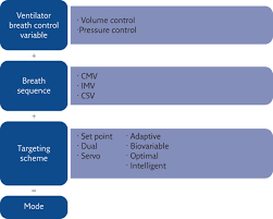 Trends In Mechanical Ventilation Are We Ventilating Our