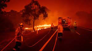 The inquiry on the other hand, is the thing that sort of apparatuses, fittings and furniture does it have? The Wildfires What I Saw When Australia Burned The New York Times