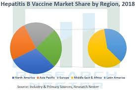 Hepatitis b vaccine is a vaccine to protect from an infection with the hepatitis a and b virus. Hepatitis B Vaccine Market To Touch At A Cagr Of 5 8 By 2027