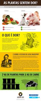 As Plantas Sentem Dor Citacoes Vegan Frases Vegan Veganismo