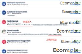 谷歌SEO优化教程2026：从0到1快速入门(各类站点通用) - Ecomools