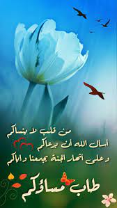 مساء الخير شعر Good Night Image Good Morning Images Good Evening