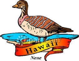 The hawaii state bird is the nene (nay nay) goose. State Bird Of Hawaii The Nene Goose Royalty Free Clipart Picture