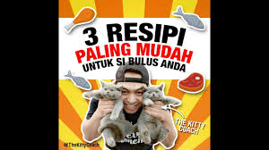 Bingung memilih makanan kucing yang bagus? 3 Resepi Makanan Kucing Buat Di Rumah Youtube