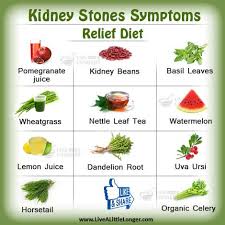 Kidney Stones Relief Diet Health Nature For More Www