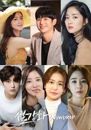 Siapa yang sudah tidak sabar menantikan drama keren ini. Snowdrop 2021 Mydramalist