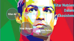 Sebaliknya, dalam proses fotosintesis oksigen dibebaskan dan dikembalikan ke udara. Kitar Nutrien Dalam Ekosistem By Thevareshan Ganesan On Prezi Next