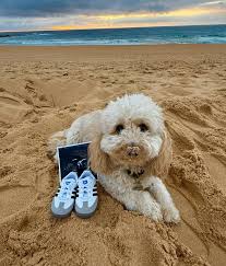 A trip out West to celebrate love💛