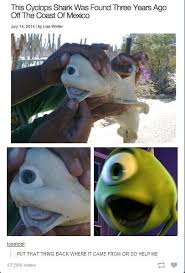Found Mike From Monsters Inc Stupid Funny Memes Disney Funny Funny Memes