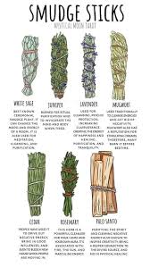 Pin By Dianne Hofmeyr On Health In 2020 Witch Herbs Witchcraft For Beginners Herbal Magic