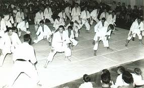 Da basile a giuffrida, passando per lombardo: Le Olimpiadi Di Tokyo Del 1964 E La Nascita Del Judo A Trieste Trieste News