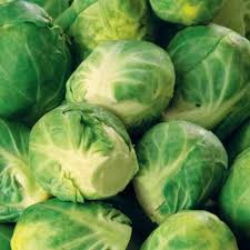 In warm areas they are likely to be infested with aphids pick formed sprouts from the bottom of the stems leaving the plant growing. Brussels Sprouts Seeds Long Island Improved Sow Easy Mckenzie Seeds