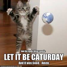 This is how i feel on saturday! Caturday Memes