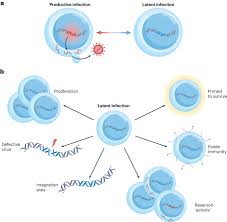 Image result for HIV Exposure