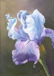 Iris Tears By Sherry Shipley Iris Painting Flower Painting Iris Flowers