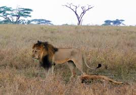 NCT自然と文化の旅