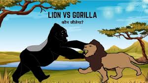 We did not find results for: Lion Vs Gorilla Who Would Win Jungle Safari Youtube