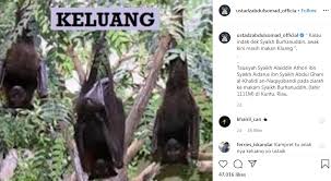 Angka mimpi rumah penuh kelelawar menurut primbon mimpi : Ustaz Abdul Somad Cerita Makan Kelelawar Di Akun Instagram Bagian 1