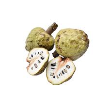 Image result for Annona reticulata