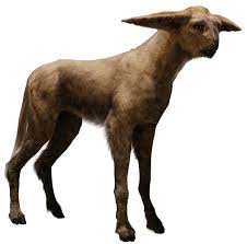 Fathier Wookieepedia Fandom Powered By Wikia Star Wars Art Star Wars Rpg Star Wars Characters