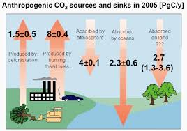 anthropogenic carbon samar khatiwala