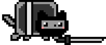 Ninja Nyan Cat