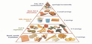 Take a look at the food pyramids — even if they aren't in pyramid form — from countries around the the plate does not give specifics about what kinds of foods are best. How Does Food Pyramid Help Us Eat Better