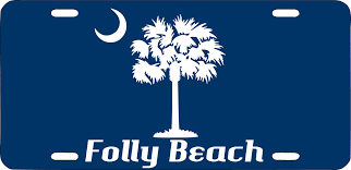 Check spelling or type a new query. Other Apparel Merchandise Automotive South Carolina Palmetto Tree Black Garnet 6 X12 Aluminum License Plate Tag