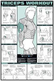 Details About Arm Workout Triceps Professional Weight Training Fitness Gym Poster Wall Chart