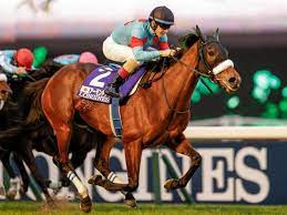 Nov 25, 2018 · ※1956年以降の中央競馬のレース結果が対象です。 ※チェックのない場合は、すべて選択となります。 ※馬齢・賞金は現在の表記にて統一しています。 ã‚¸ãƒ£ãƒ'ãƒ³ã‚«ãƒƒãƒ— æ­´ä»£å„ªå‹é¦¬ é¨Žæ‰‹ä¸€è¦§ éŽåŽ»g1çµæžœ ç«¶é¦¬ã¾ã¨ã‚ Netkeiba Com