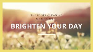 6 Cleaning Memes That Will Make Your Day The Maids Blog