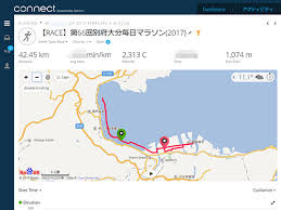 Garmin Connectで個別アクティビティページのマップがbaiduになっちゃってる方へ Beach Resort Photoclip Run