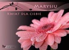 Imieniny imieniny marii najczęściej obchodzi się 15 sierpnia, w dniu pochodzenie imienia i patroni maria to imię żeńskie pochodzenia hebrajskiego, od słowa „miriam. Kartki Dla Marii Imieniny Maria Megakartki