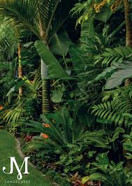 Subtropical Garden Designed And Built By Award Winning Landscape Designer Jules Moore Jm Lan Tropical Landscape Design Tropical Garden Design Landscape Design