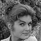 The Rifleman (TV Series 1958–1963)