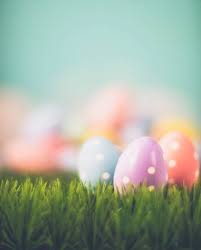 easter background with easter eggs and grass in pastel colors easter backgrounds easter eggs easter photos easter background with easter eggs and