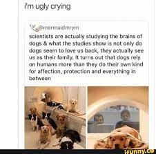 Za C Mermaidmrym Scientists Are Actually Studying The Brains Of Dogs What The Studies Show Is Not Only Do Dogs Seem To Love Us Back They Actually See Us As T
