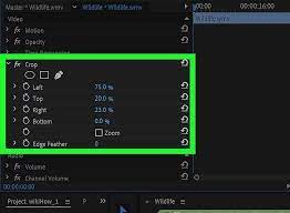 How To Remove Black Bars From Video Leawo Tutorial Center