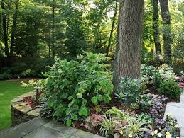 Mahoney S Garden Center Backyard Landscape Landscape Design Backyard Landscaping Landscaping Around Trees