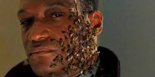 Katie walsh is a tribune news service film critic. Deutscher Trailer Zu Candyman Ist Da Dvd Forum At