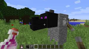 Check spelling or type a new query. Minecraft 1 9 Dragon Head Secret Youtube