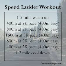 sd ladder workout