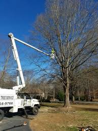 Maybe you would like to learn more about one of these? Hsc Tree Services 1616 S Fayetteville St Asheboro Nc Tree Services Mapquest
