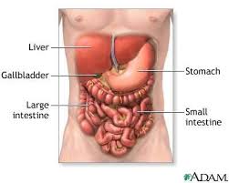 Hasil gambar untuk constipation gambar